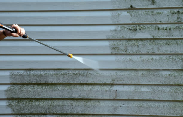 Best Driveway Pressure Washing  in Romulus, MI